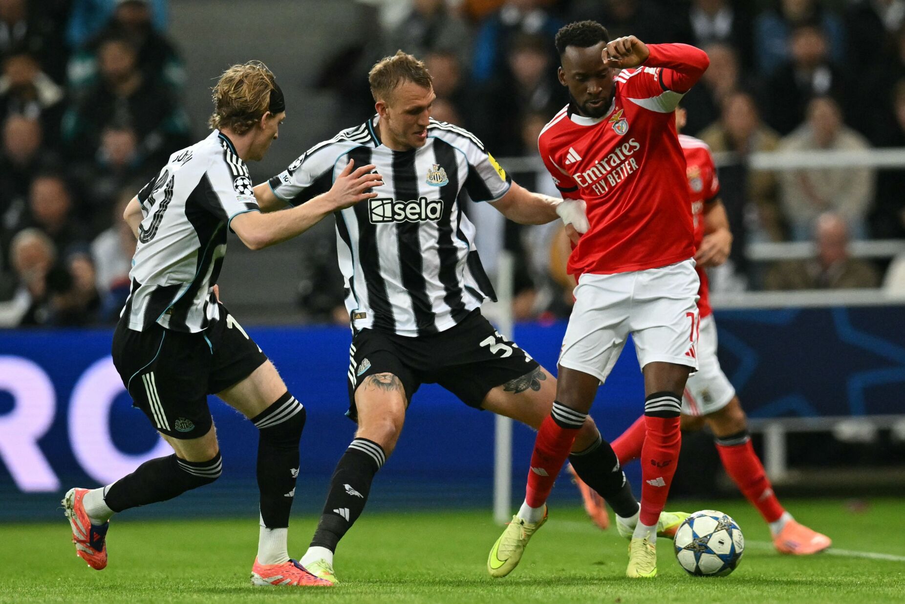 Muralha de Mourinho derrubada pelos ingleses: Benfica perde com o Newcastle. Veja os golos