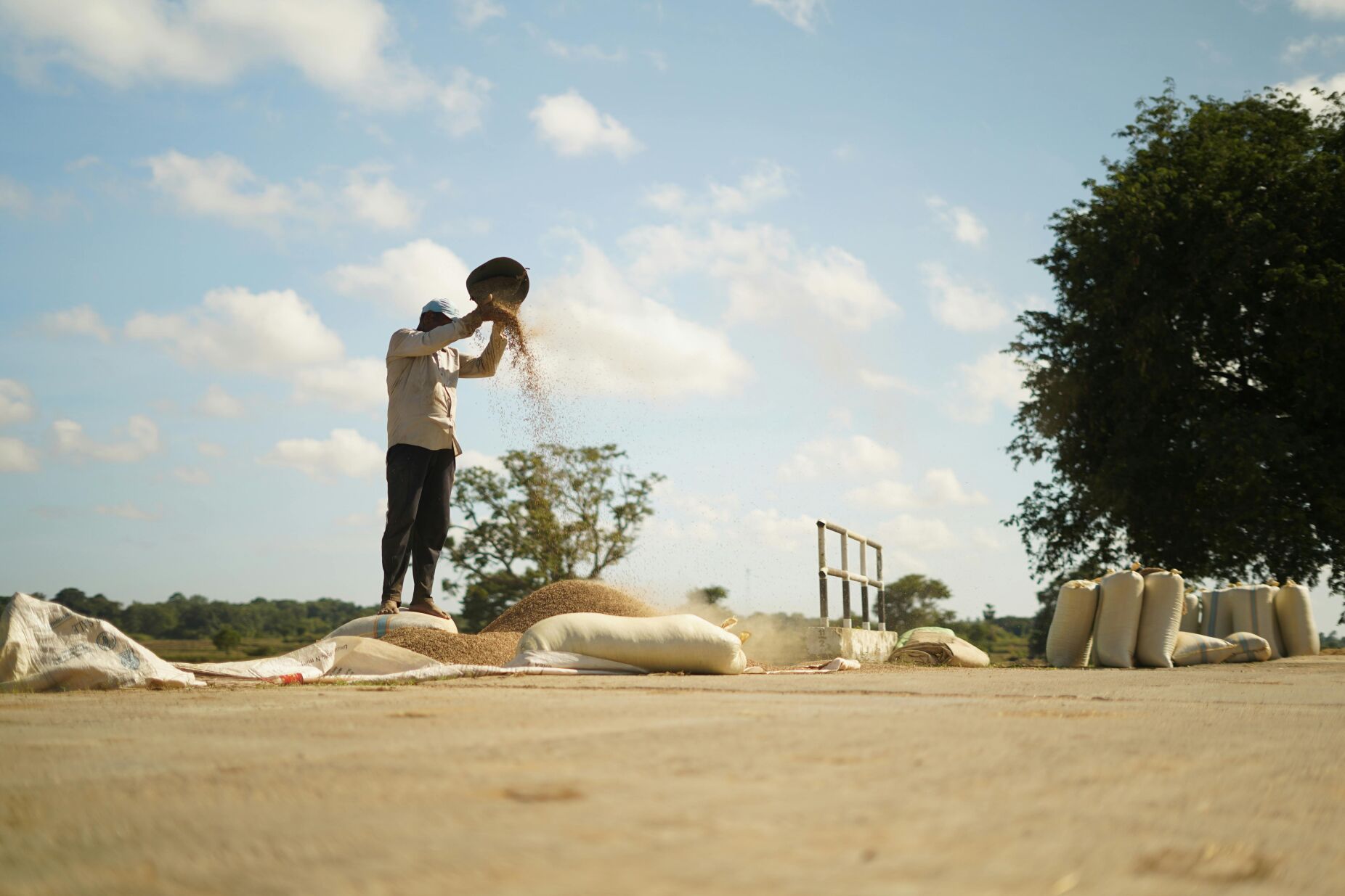 Brasil e Angola representam 70% da mão de obra estrangeira em Portugal