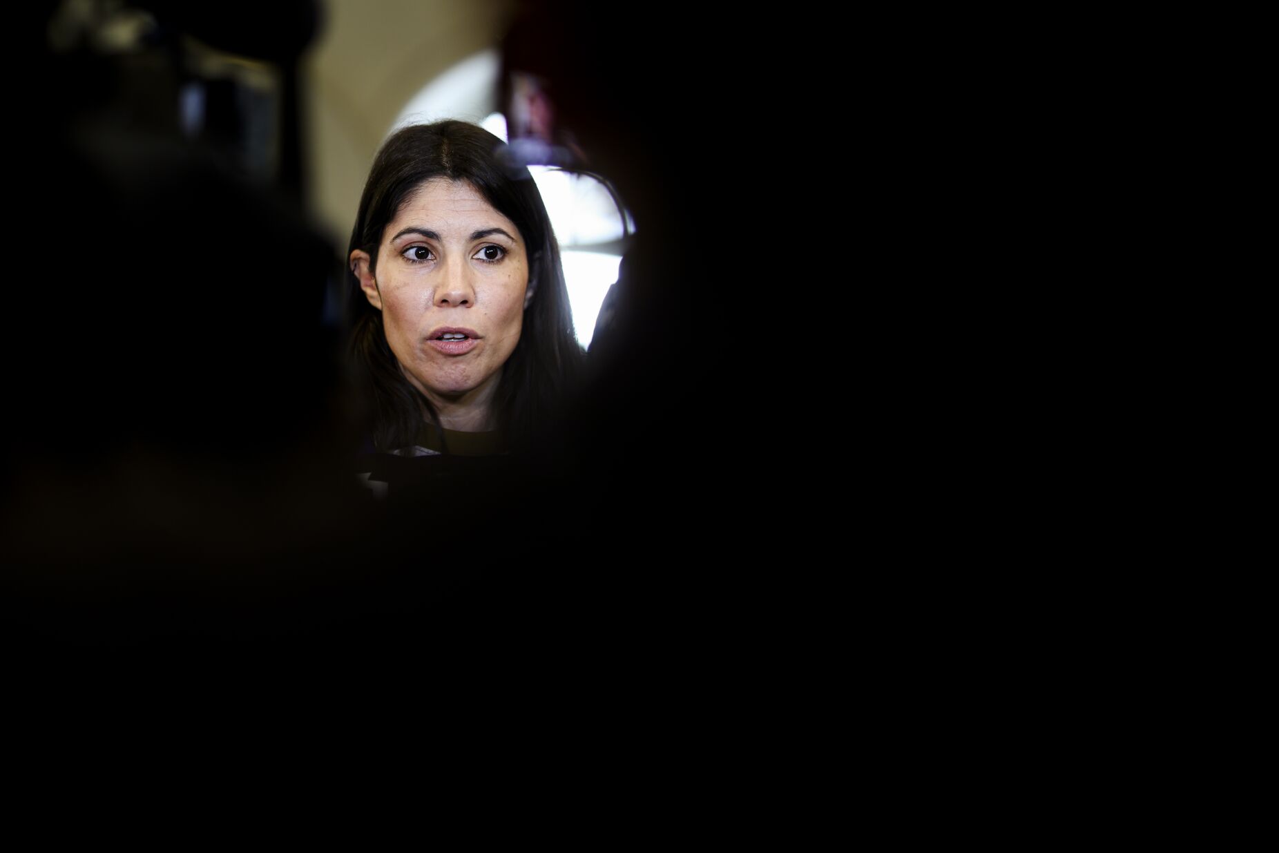Flotilha: Mortágua paga "bilhete" de regresso a Portugal, mas defende que "Governo decente mandaria fatura ao genocida"