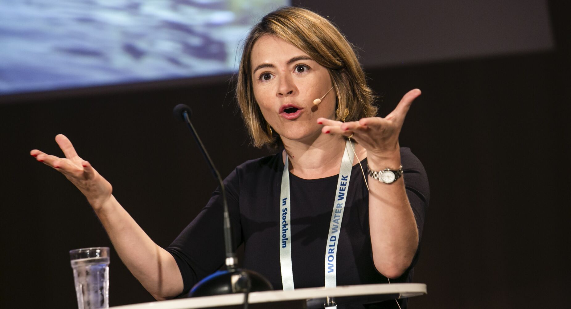 Morreu Catarina de Albuquerque, a primeira relatora especial da ONU para os Direitos Humanos à Água e ao Saneamento