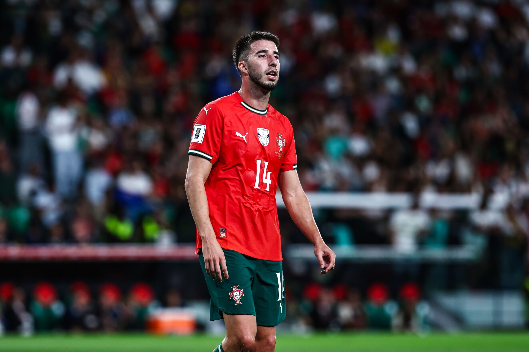 Depois de Rafael Leão, Gonçalo Inácio também dispensado da seleção falha duelo com a Hungria
